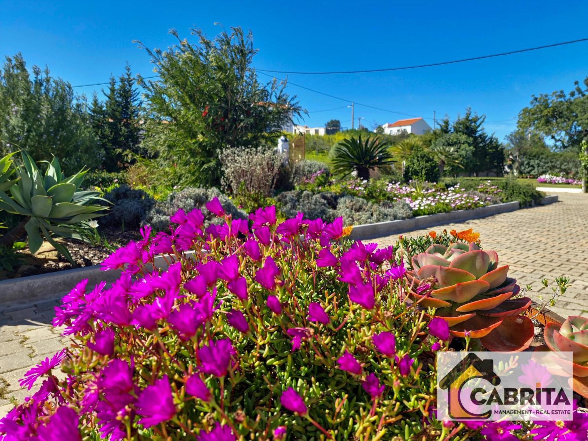Villa Quinta Dos Medronheiros à Altura Extérieur photo